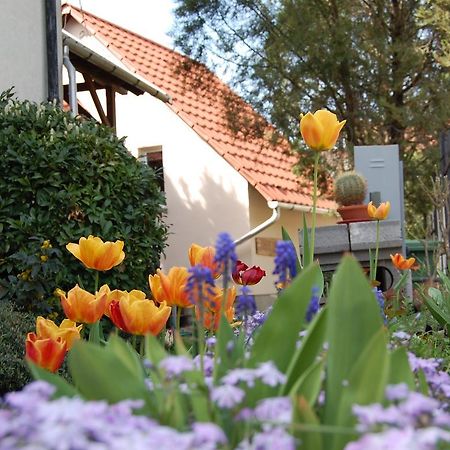 Maya Guesthouse Eğri Dış mekan fotoğraf
