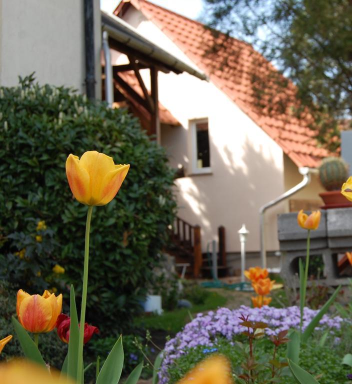 Maya Guesthouse Eğri Dış mekan fotoğraf