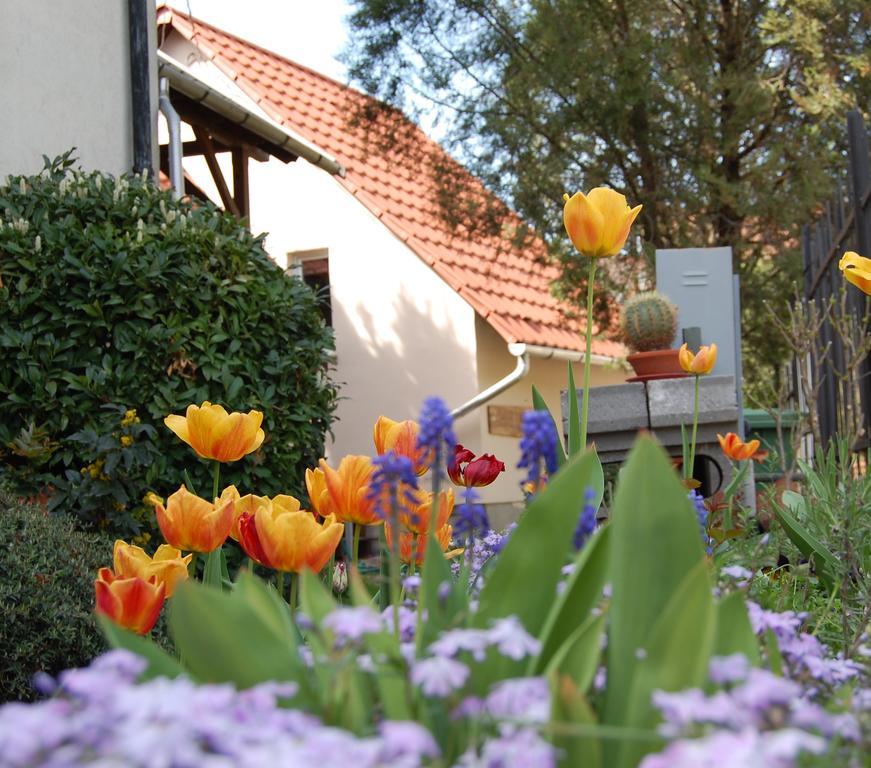 Maya Guesthouse Eğri Dış mekan fotoğraf